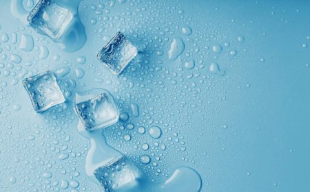 The Chilling Secret to Longevity: How Cold Temperatures Extend Our Lifespans