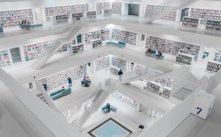 Master the Art of Literature Review with This Comprehensive Guide