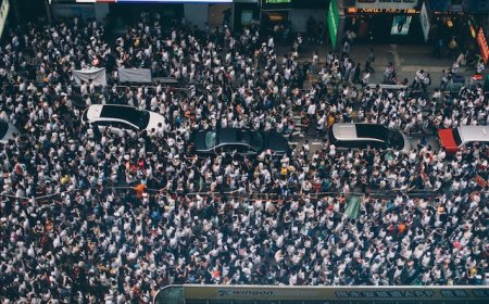 Understanding Population in Scientific Research: A Comprehensive Breakdown for Researchers