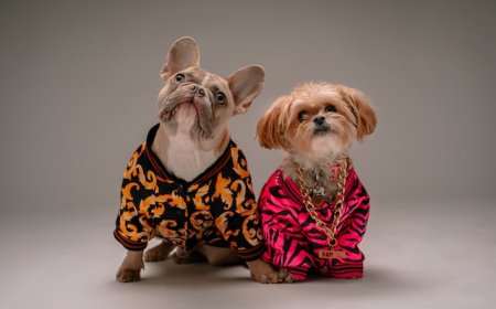 Furry Friends or Foes? The Science Behind Why Some People Love Pets, and Others Don't