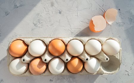 The Keto Diet Exposed: What the Health Gurus Aren't Telling You