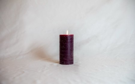 The Remarkable Science of Myth Acceptance in Human Culture