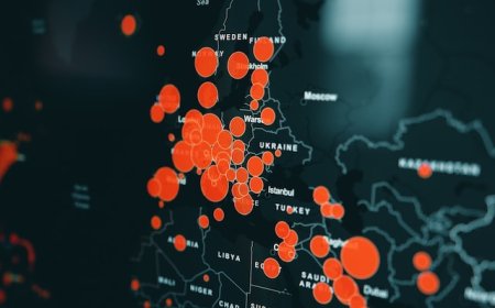 The Art and Science of Demographics: Unraveling Population Studies
