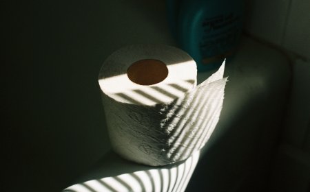 Why People Prefer Pooping at Home!