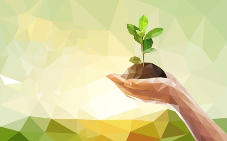 Exploring the Foundations, Applications, and Career Opportunities in the Field of Economics