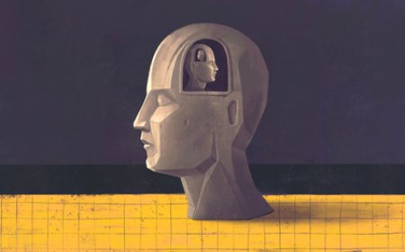 Exploring the Diverse Branches, Applications, and Career Opportunities in the Field of Psychology