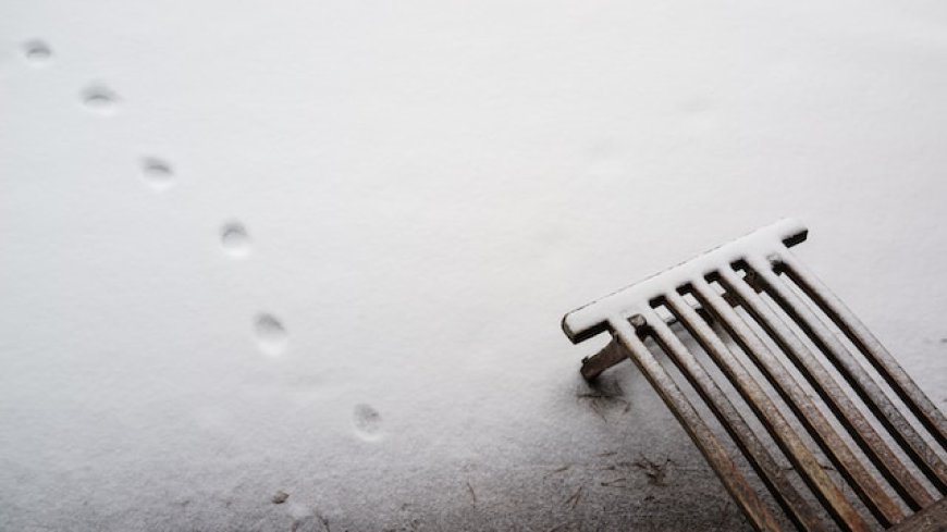 Connecting the Dots: A Guide to Understanding Causality for Reseach and  Everyday Life