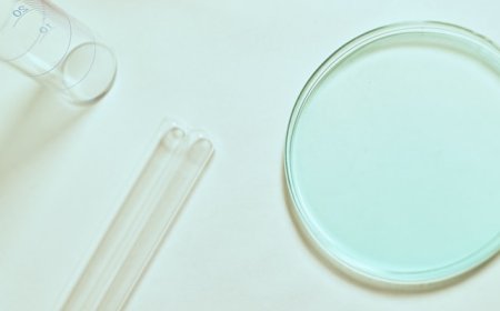 Unveiling the Tiny Factories of Life: Cells in Your Body