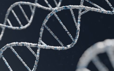How DNA and Genes Shape Who We Are: Unveiling Life's Ultimate Blueprint!