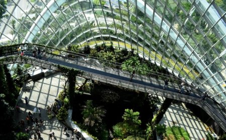 Understanding Sustainability: A Comprehensive Guide for the Modern World