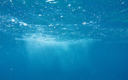 Water: The Mysterious Liquid that Shaped Our World