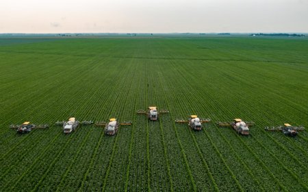 Food Security: A Comprehensive Overview of Challenges and Solutions