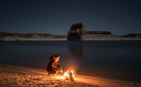 The Science of Human Survival: A Look into Our Innate Abilities