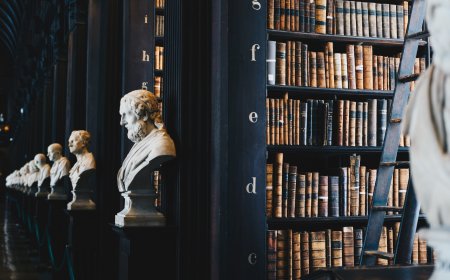 Understanding the Differences Between Scientific Theories and Laws