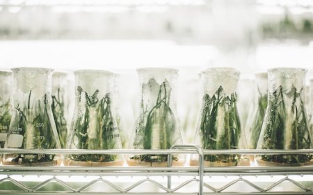 The Challenges Researchers Face with Out-of-Pocket Expenses