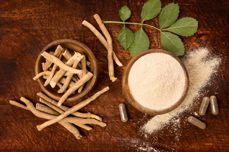 Ashwagandha: The Herbal Supplement Bridging Ancient Wisdom and Modern Health