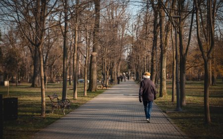 Shedding the Weight, Adding the Years: How Obesity Steals Your Longevity