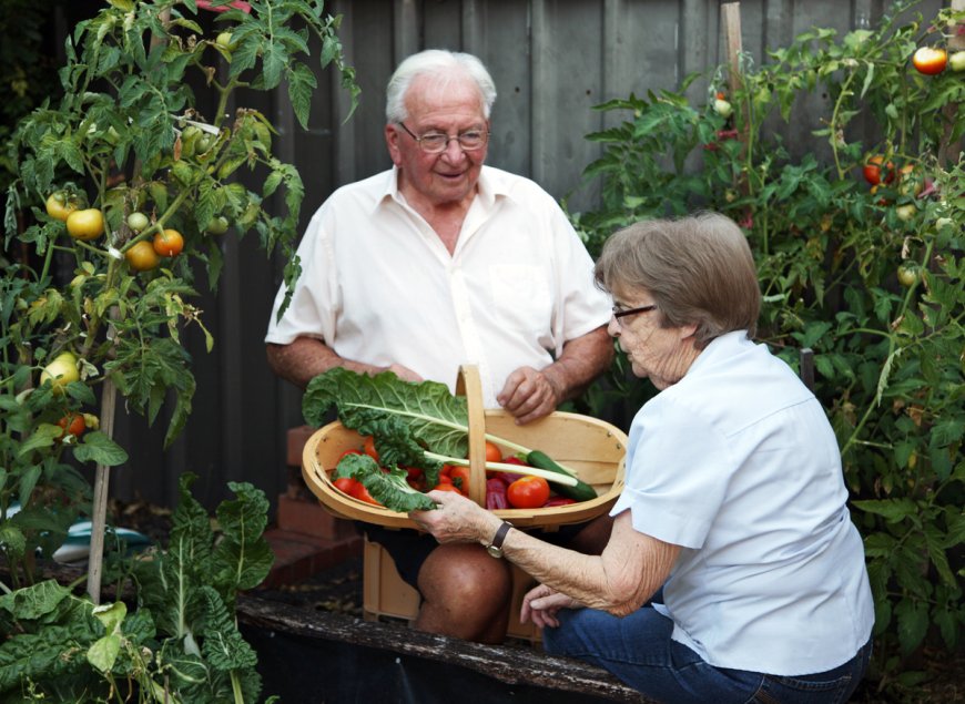 Live Longer, Eat Better: The Secrets of the Mediterranean Diet