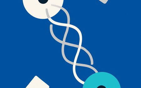 Quantum Entanglement: The Invisible Threads Shaping the Future of Communication