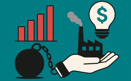 The Impact of Excessive Government Regulation on Attracting Investments