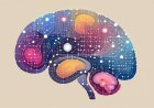 The Neural Architecture of Implicit Bias: A Cognitive Neuroscience Perspective
