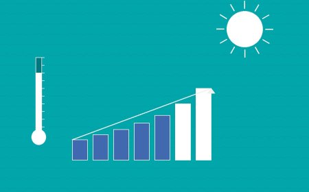 Extreme Heat Events Are Getting Longer, Hotter, and More Frequent, New Analysis Finds