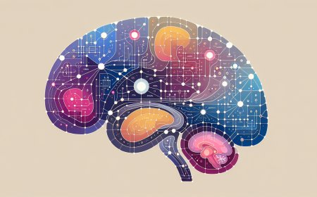 The Neural Architecture of Implicit Bias: A Cognitive Neuroscience Perspective