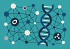 Navigating the Complex Network of Causality in Systems Biology