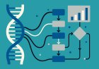 Bioinformatics and the Quest for Validity: Navigating Methodological Challenges