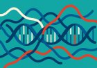 The Epigenetic Mosaic: Patterns of Causality, Bias, and Validity in Contemporary Research