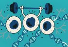Resilience in Cells: A Revolutionary Approach to Combatting Cellular Senescence