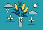 The Role of Biotechnological Innovations in Achieving Sustainable Agriculture