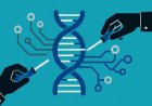 Synthetic Biology: Reimagining the Constructs of Evolution and Functionality