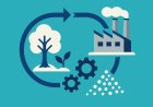 The Science of Circularity: Sustainable Systems in the Wake of Entropy