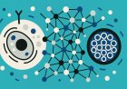 Emergent Patterns in Cellular Communication: Insights from Systems Biology