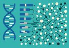 Exploring the Genomic Interplay: Advances in RNA-Seq Analysis