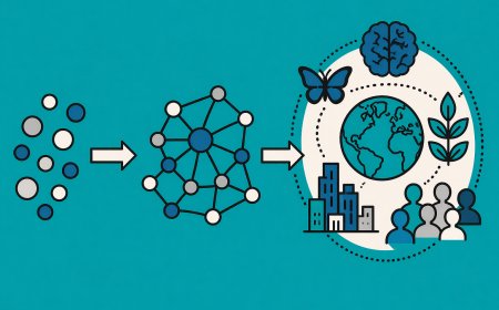 Exploring the Depths of Emergent Phenomena in Complex Systems