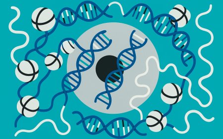 Epigenetic Crosstalk: Unveiling the Interconnected Molecular Pathways