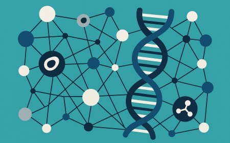 Navigating the Complex Network of Causality in Systems Biology