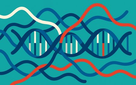 The Epigenetic Mosaic: Patterns of Causality, Bias, and Validity in Contemporary Research