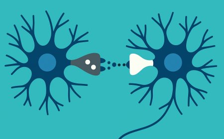 Synaptic Plasticity: The Neural Basis of Learning and Memory