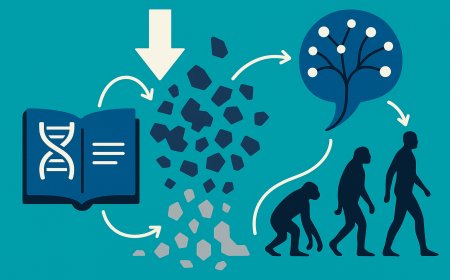 The Entropic Foundations of Information Theory in Biological Systems