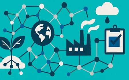 Questioning Causality in Environmental Policy: A New Scientific Approach
