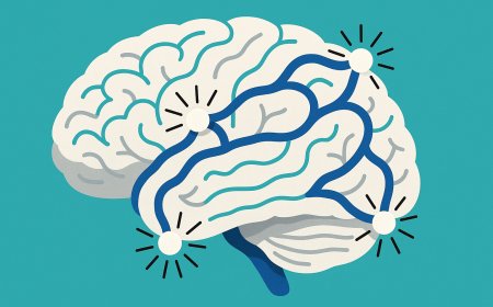 Neuroplasticity and the Adaptive Brain: Exploring the Limits of Cognitive Flexibility