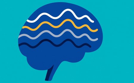 Neural Oscillations and the Architecture of Human Cognition