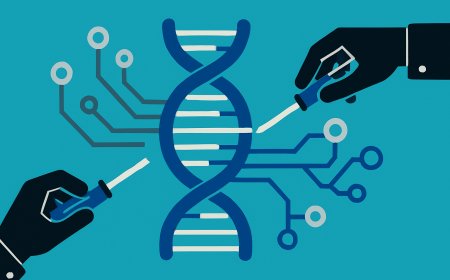 Synthetic Biology: Reimagining the Constructs of Evolution and Functionality