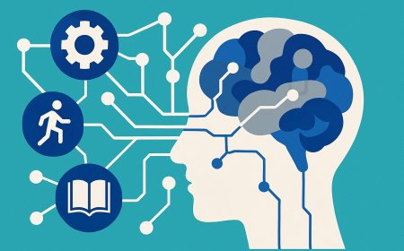 The Cognitive Mechanics Behind Skill Acquisition: A Scientific Dissection