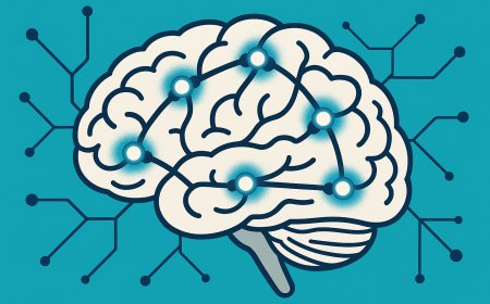 The Neural Basis of Skill Learning: Decoding Synaptic Plasticity