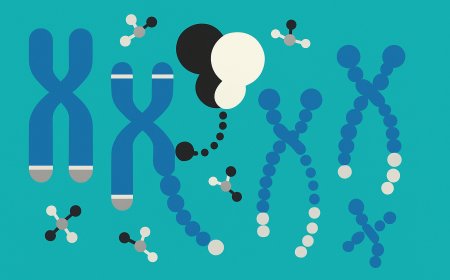 Telomere Dynamics and Cellular Longevity: A New Horizon in Aging Research