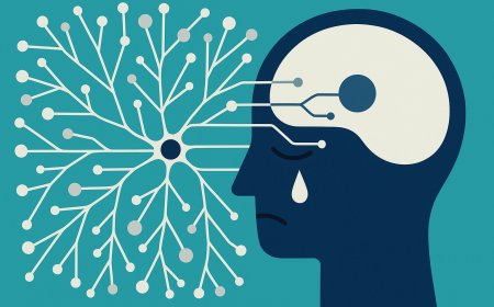 The Neurobiological Roots of Depression: Mechanisms and Implications